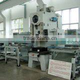 Production Line for Automatic Blanking, Forming, Drawing thumbnail-1