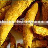 Turmeric Fingers thumbnail-2