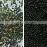 Pulses Color Sorter With High-resolution CCD Camera thumbnail-5