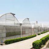 Large Plastic Film Multi-span Greenhouse Poly Covering Greenhouse thumbnail-3