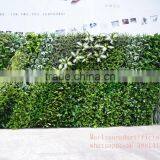 Wholesale Price Plastic Plant Vertical Everygreen Wall,artificial Plants for Wall thumbnail-3