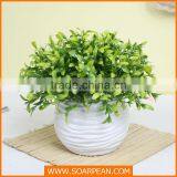 Lovely Custom Love Shape Potted Plants thumbnail-2