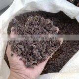 Chopped Sargassum Seaweed thumbnail-3