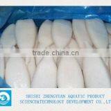 U5 Frozen Illex Squid Tube thumbnail-1