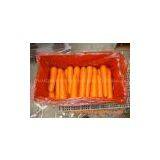 Fresh Carrot thumbnail-2