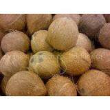 Sell Semi Husk Coconut - Vegion Biotech Co., Ltd thumbnail-1