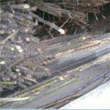 Sugar Chains thumbnail-1