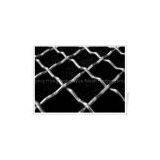 Crimped Wire Mesh