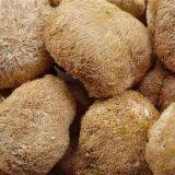 Dried Edible Mushroom Fungus Hericium Mushroom