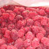 Frozen Raspberry thumbnail-2
