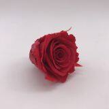 A Grade Everlasting Fresh Flower Decoration Rose Preserved Rose Head thumbnail-3