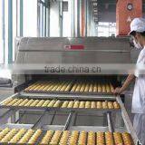 Infrared Catalytic Ceramic Plate Cast Iron Gas Burner for Industrial Oven for Cakes (HD 61) thumbnail-5