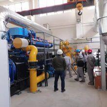 Hot Sale Wood Gas Biogas Natural Gas Power Generator Plant thumbnail-4