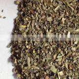 Hot Sale Oregano thumbnail-1