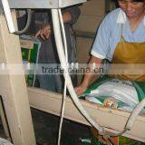 Compact Automatic Powder Packing Scale Plant