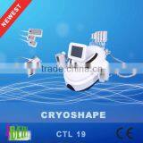 Newest Cryo Handle Working Cold Lipolysis Lipo Laser Fat Loss Machine for Salon Use thumbnail-6