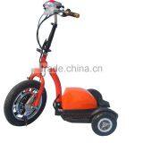 CE 350/500W Motor Triciclo/ Motor Electrico/triciclo Electrico