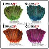 ZPDECOR Feather Dyed Green Hen Ringneck Pheasant Wing Quills Feather thumbnail-5
