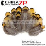 Golden Supplier CHINAZP Bulk Cheap 5-8cm Length Dyed Golden Yellow Plumage Reeves Venery Pheasant Feathers