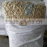 Shandong Peanuts in Shell Peanut Factory thumbnail-6