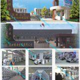 Hebei Shengshi Jintang Packaging Co company overview - view 1 thumbnail