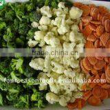 China Good Quality Frozen Fruit&vegetable thumbnail-1