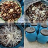 Prices for shiitake IQF frozen shiitake mushroom Wholesale China merchandise
