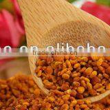 Camellia Bee Pollen for All Over the World