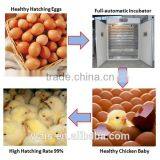 Solar Eggs Incubator 1056 Chicken Eggs Incubation Equipment thumbnail-5