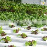 Cheap NFT PVC Hydroponics thumbnail-1