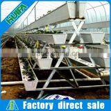 High-yield Greenhouse Hidroponica for Strawberry thumbnail-5