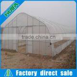 Customized Commercial Walk in Plastic Film High Tunnel Greeenhouse thumbnail-2