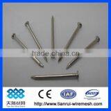 Common Nail/polished Nail/galvanized Nail thumbnail-5