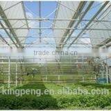Polycarbonate Sheet Roof Foldable Greenhouse thumbnail-2