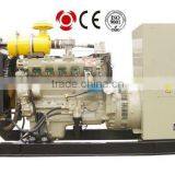 Natural or Bio Gas Generator Set (10Kw to 700kW) thumbnail-1