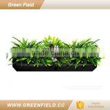 Living Wall Planter Vertical Garden/Green Living Plant Walls thumbnail-1