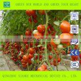 Advanced Agricultural Greenhouse for Vegetable thumbnail-2