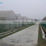 Agricultural Greenhouses thumbnail-4