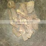 Sweet Flag thumbnail-1