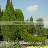 Small Sculpture Aritificial Green Sculpture Plastic Fake Plant Artificial Sculpture Artificial Plastic Statue thumbnail-2