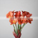 Natural Clivia Fabric Clivia Decorative Clivia Artificial Clivia Flower for Wholesale thumbnail-5