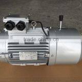 Double Shaft IE2 or IE3 Efficiency Manual Three Phase Induction Brake Motor thumbnail-1