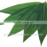 Natural Bomboo Leaves 100 Leaves thumbnail-1