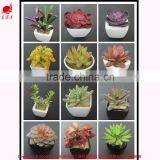 Mini Artificial Succulent Plants Artificial Succulents Tropical Plant Wholesale thumbnail-3