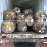 Suriname ROK / Rode Kabbes Log thumbnail-4