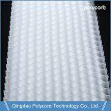 White Polycore PC Honeycomb PC6.0 UV Protection 0.5mm Polycarbonate Sheet