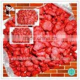 Preserved Strawberry, thumbnail-1