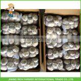 Buy Direct From China Factory Cold Storage Fresh Garlic thumbnail-1