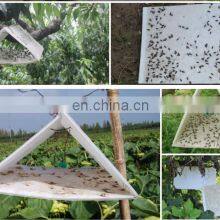 OEM Manufacturers Powerful Safer Sticky Moth Traps to Control Food Moth Cloth Strong Glue+paper+pheromone Bait 2 Year All-season thumbnail-5