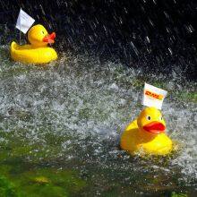 MexicoDHLExpress MexicoDDU Mexico thumbnail-2